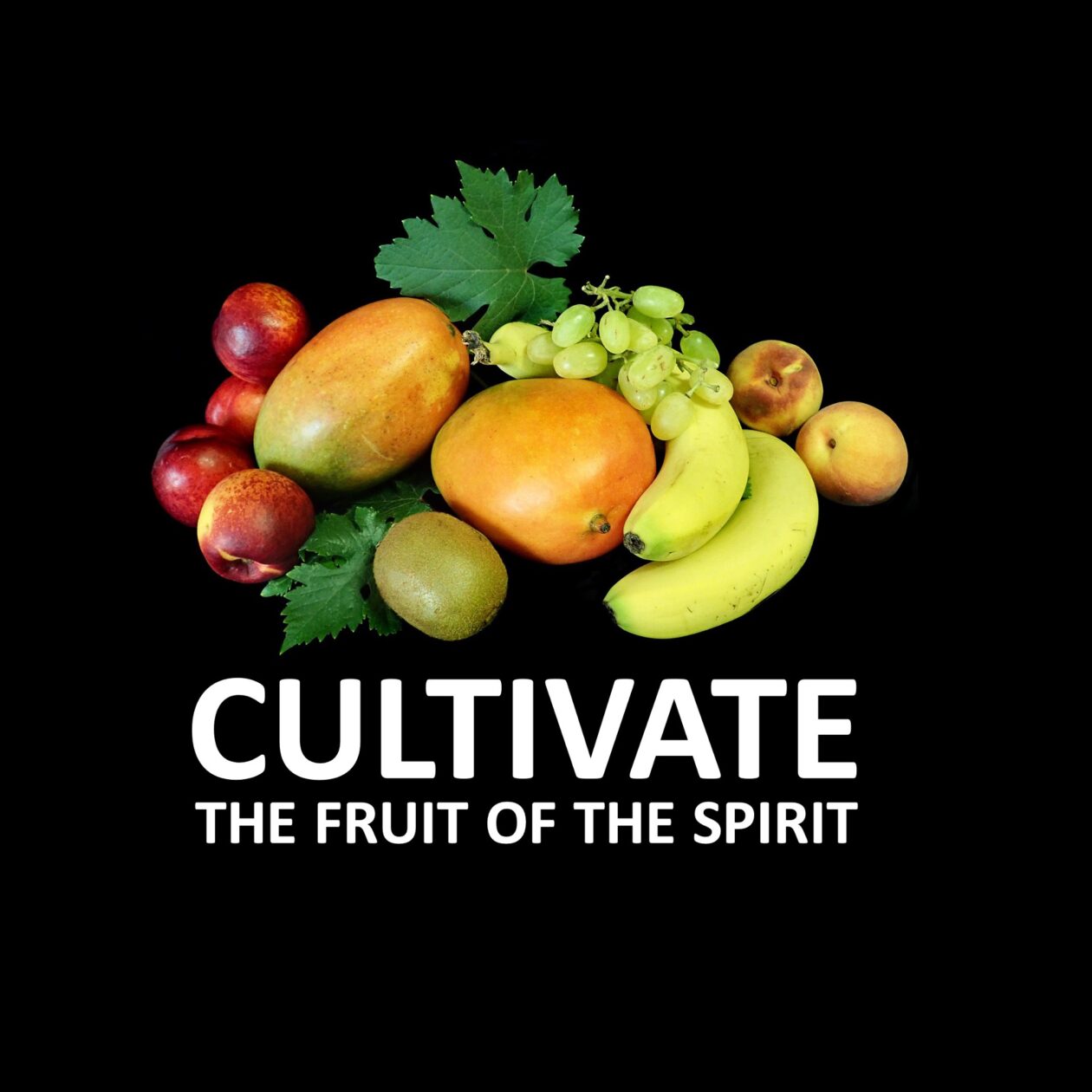 Cultivate – Goodness – Pamela Santos – Grace Church